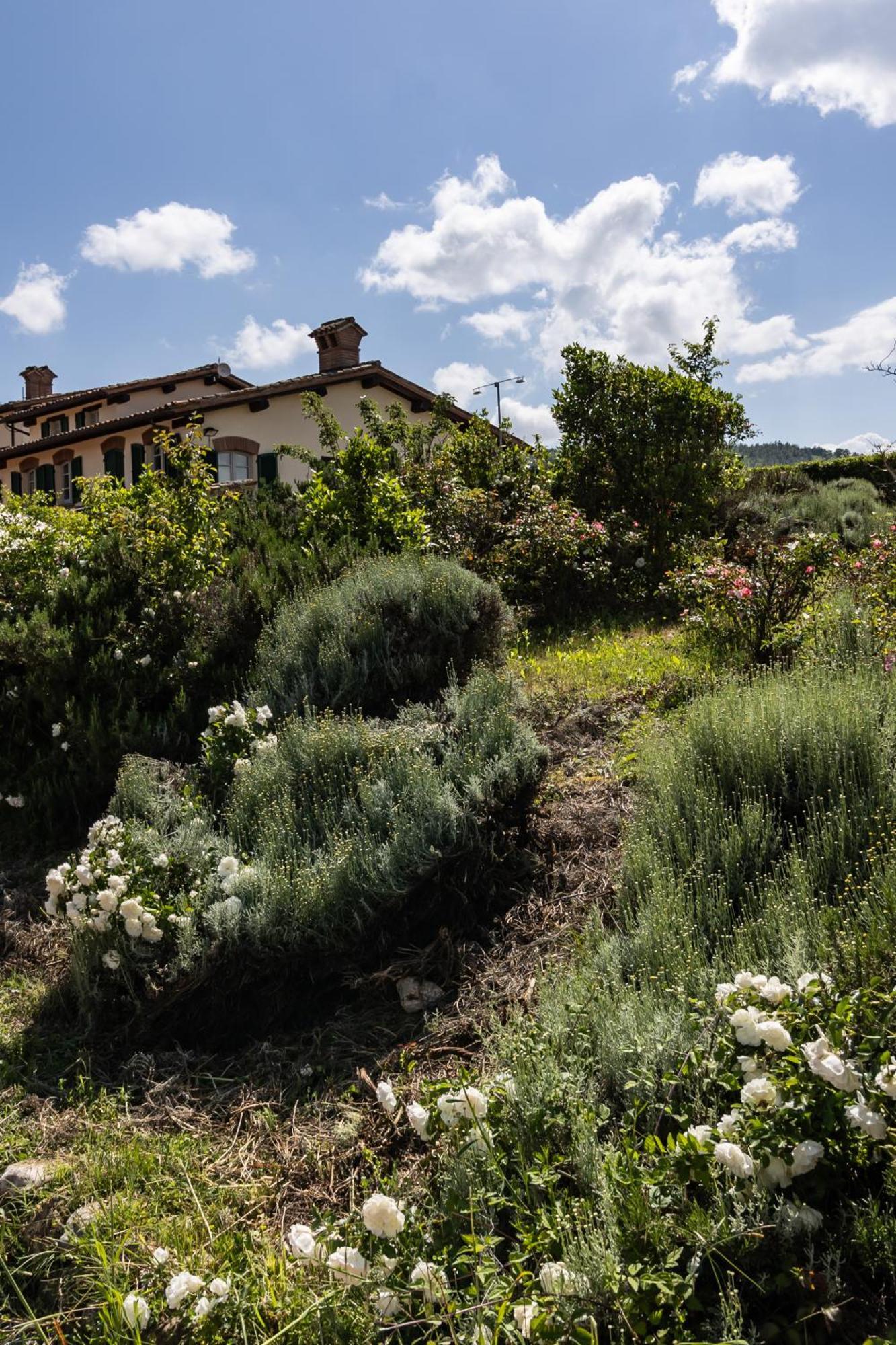 Tenuta Borgo San Michele 구비오 외부 사진